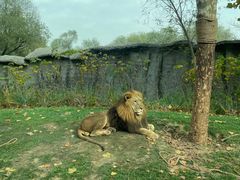 -北京野生动物园