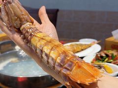 -凯华海鲜火锅·传承三十六年