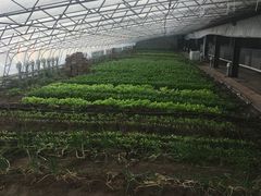 -北三沙家烧麦(北头道街店)
