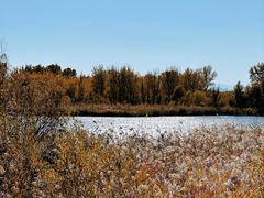 -野鸭湖国家湿地公园