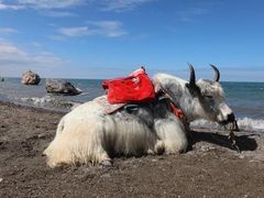-青海湖国家重点风景名胜区