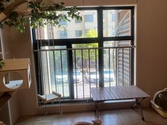 -唐小姐の私宠·宠物洗护美容·撸猫馆·购宠(周浦万达旗舰店)