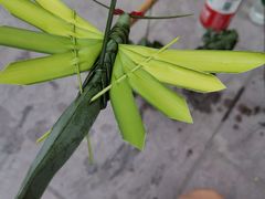 -海窝子古镇