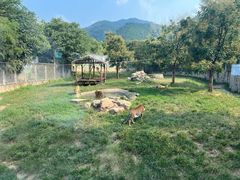 -西安秦岭野生动物园