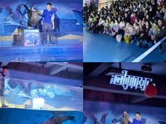 -顺德南宏海立方海洋公园