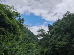 -黔灵山公园