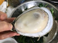 -蚝专家(北滘店)