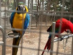 -南宫五洲植物乐园