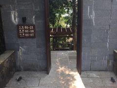 亚龙湾人间天堂-鸟巢度假村-三亚亚龙湾人间天堂鸟巢度假村