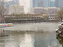 -团结湖公园