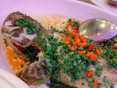 清蒸石斑鱼-龙泉海鲜酒楼(龙昆南路店)