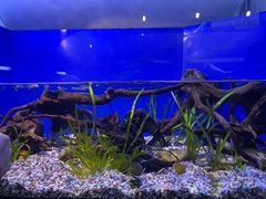 -上海海洋水族馆