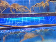-锦色·烧鹅·海鲜(臻享店)