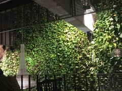 -外婆家(杭州马塍店·杭帮菜名店)