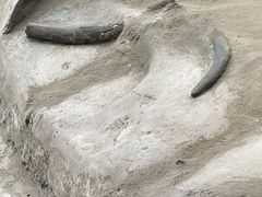 -金沙遗址博物馆
