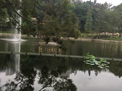 -大埔公路-马料水段香港中文大学(公交站)