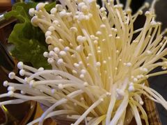 -舒家大院重庆老火锅(纪念塔店)