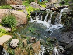 -罗红摄影艺术馆