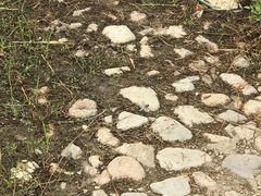 景点-白浮泉公园
