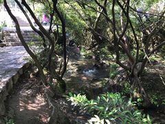 景点-贵阳市花溪国家城市湿地公园