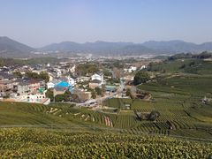 -龙坞茶村