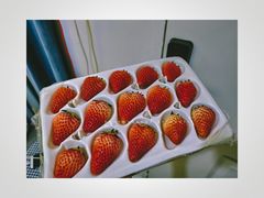 -盒马鲜生(岭南新世界店)
