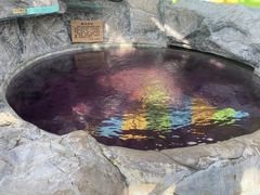 -爱江山温泉(凌奥店)