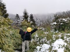 -宝鼎风景区