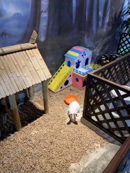 -酷嗒动物文化乐园(cutezoo西溪乐天城店)