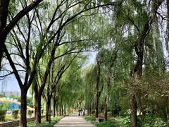 -洛阳市隋唐城遗址植物园