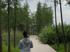 -瑶湖郊野森林公园