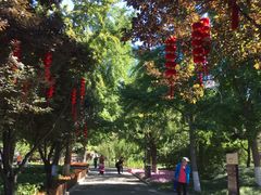 -丰台花园