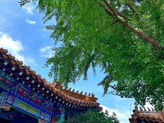 -戏马台景区