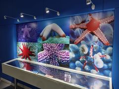 -上海海洋大学鱼文化博物馆(军工路校区)