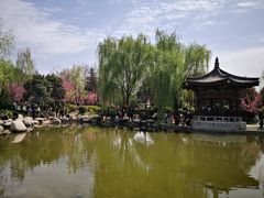 -西安青龙寺遗址景区