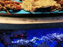 -小螺号海鲜·地道鲁菜(省体总店)