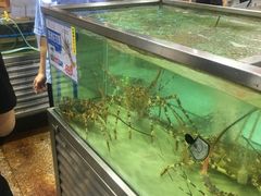 -渔民新村(番禺总店)