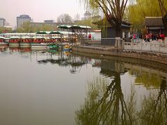 -莲花池公园