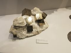 矿物区展品-墨尔本博物馆(Melbourne Museum)