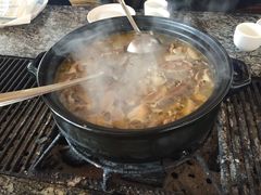 -蘑统田下·野生菌火锅