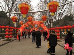 -洛阳市隋唐城遗址植物园