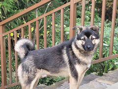 -山王坪喀斯特国家生态公园