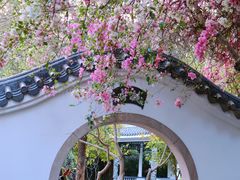 -深圳国际园林花卉博览园