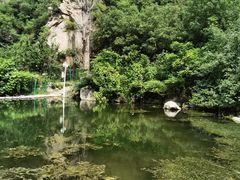 -灵溪风景区