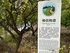 -昆山城市生态森林公园