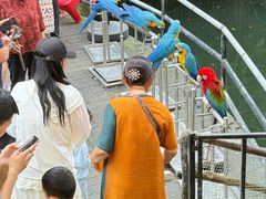 -海南槟榔谷黎苗文化旅游区