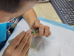 -天津前进宠物医院(前进道店)