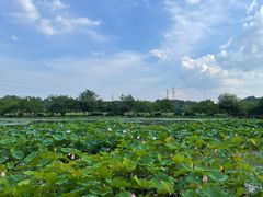 -鼓楼(西湖风景名胜区)