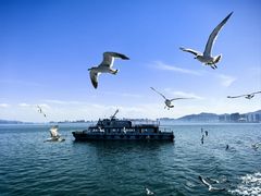 -刘公岛景区