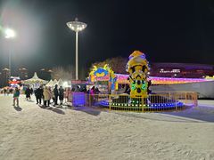 -沈阳奥体冰雪嘉年华